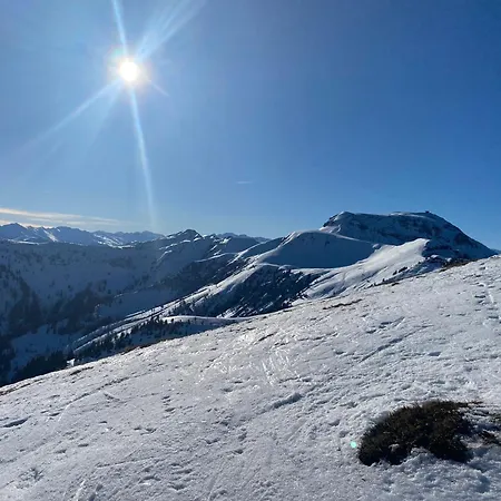 Apartman Maxls Stubn Maria Alm am Steinernen Meer